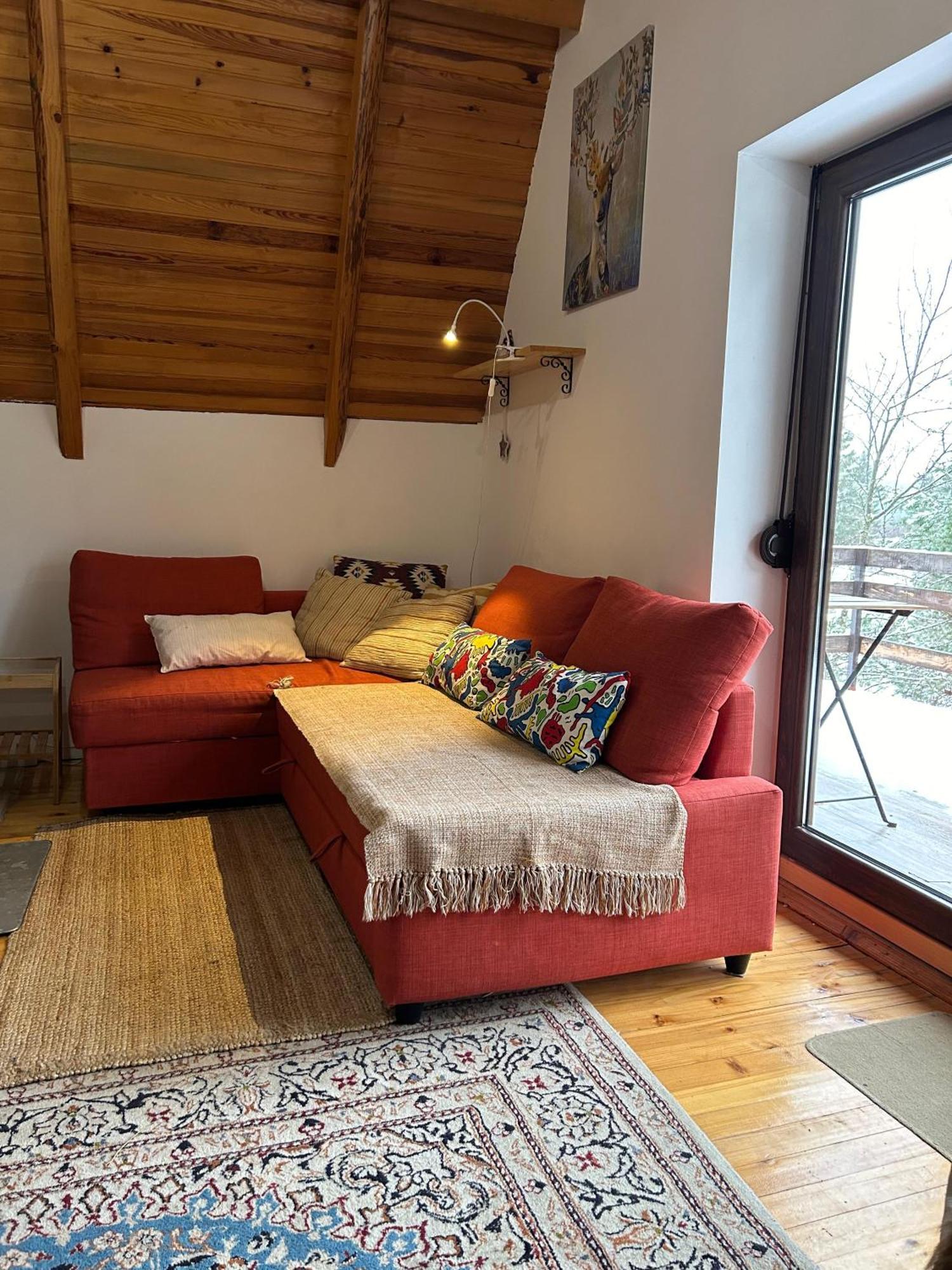 Sljivovica  Mansion Tara 빌라 외부 사진